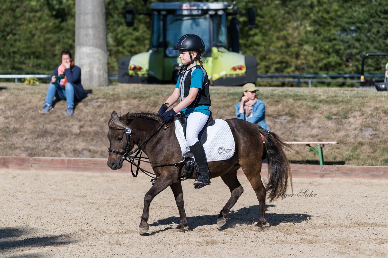 Bild 34 - Pony Akademie Turnier